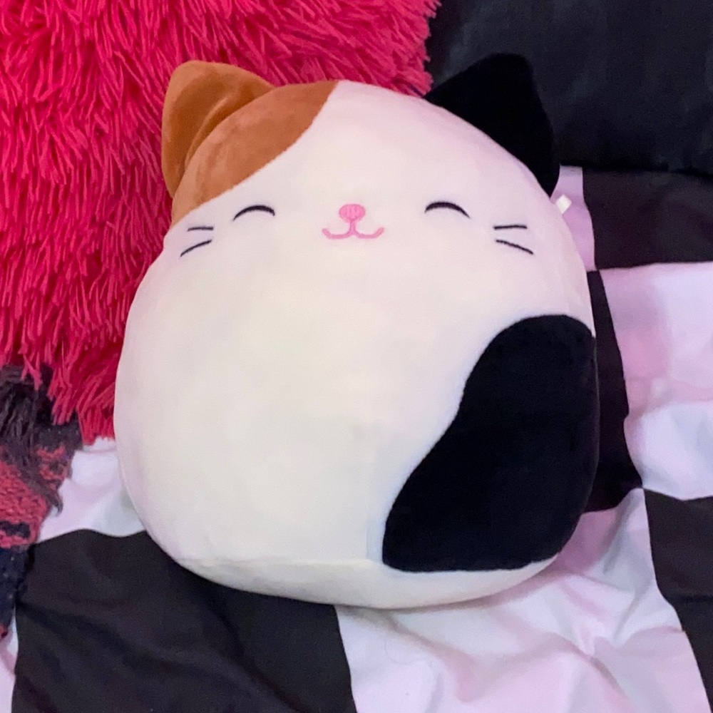 cameron the cat squishmallow 8”